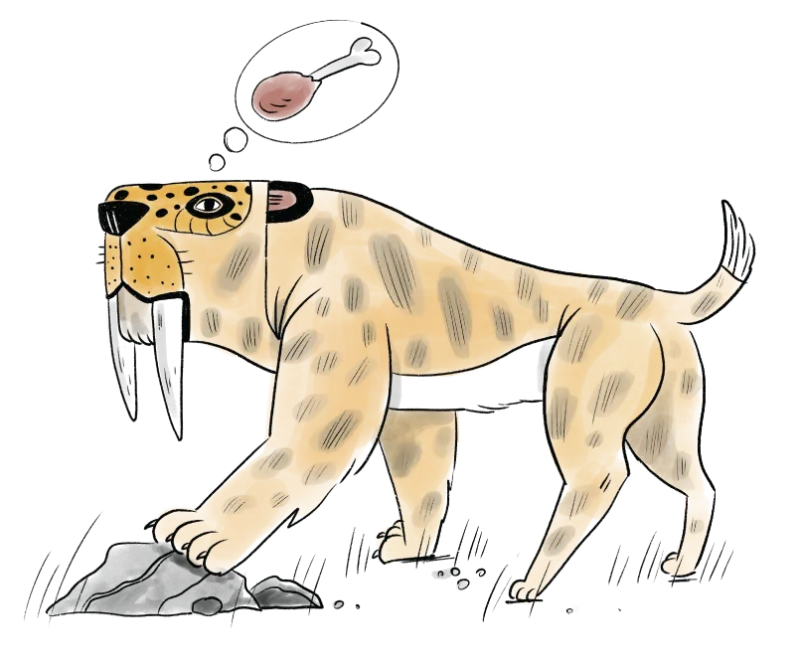 A sabre-toothed cat dreaming of a drumstick