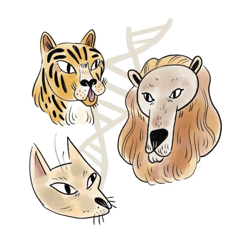 A tiger, a lion and a house cat around a DNA strand