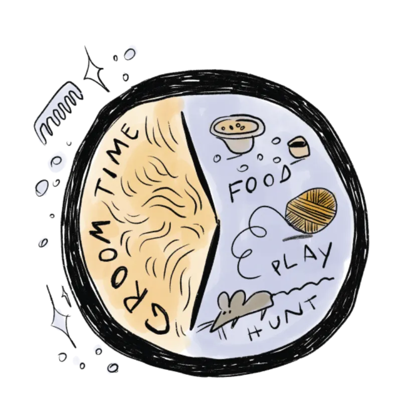 A pie chart: grooming time against food, play and hunting