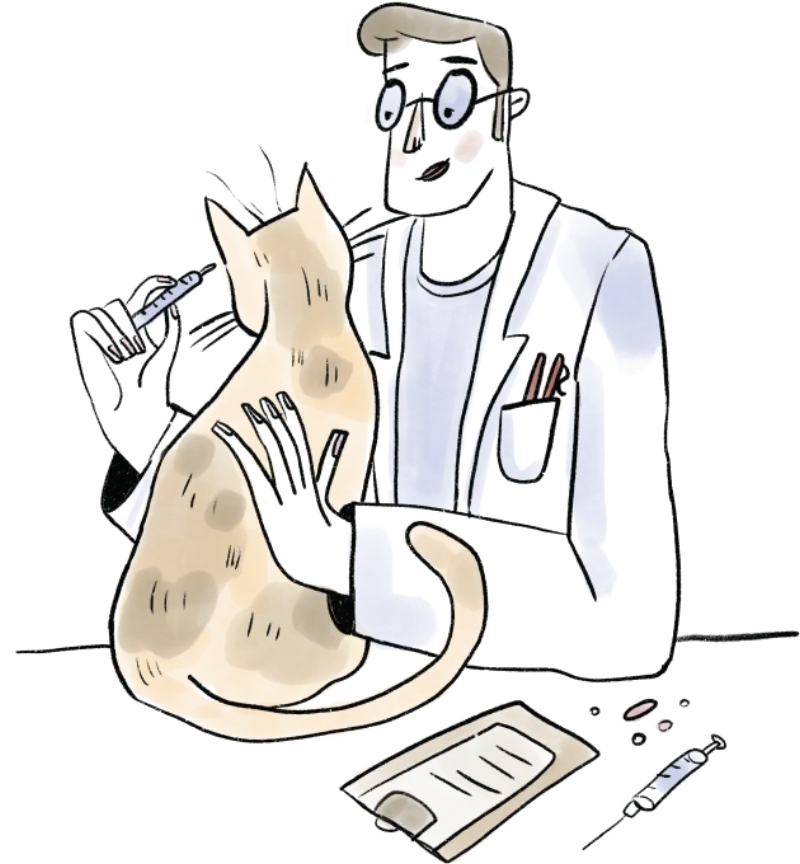 A vet examining a cat