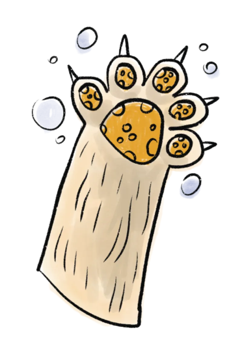 A raised cat paw with soap bubbles