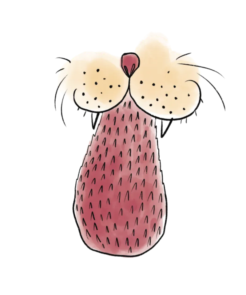 A cat's tongue up close, covered in tiny hooks